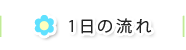 一日の流れ